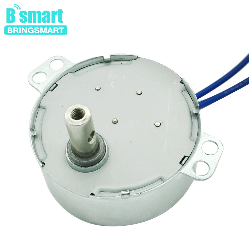 110v 220v 2.5 3 8 10 rpm Crafts Rotate Exhibition /Oscillating Fan Motor Microwave Oven Gear Motor Ac Synchronous Motor TYC-50