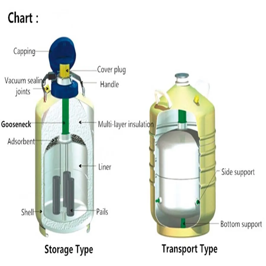 Conteneur de stockage d'azote liquide de haute qualité, YDS-15 litres, à usage médical