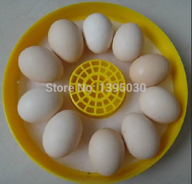 

Egg Chicken Bird Incubator 10 Eggs Hatching Machine Automatic Intelligent Temperature Control Quail Parrot Brooder JANOEL-10