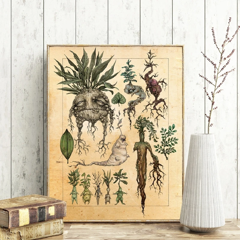 Harry Fan Art Illustration Cute Mandrake Plant Decor Canvas Painting Wall Picture , Classic Movie Poster Kids Room Decor