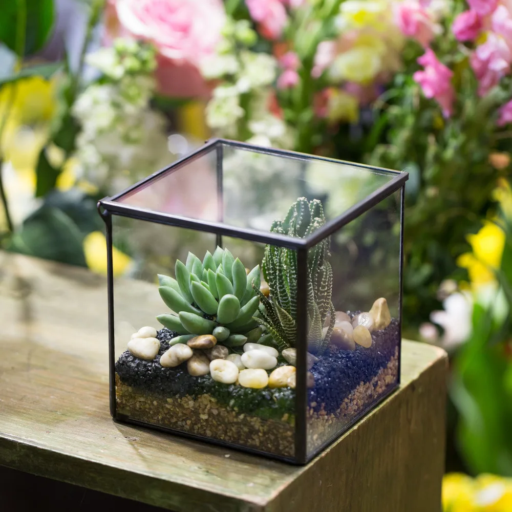 NCYP Modern Glass Flower Pot with Cover Handmade Square Glass Geometric Terrarium Tabletop Succulents Fern Moss Plants Flowerpot