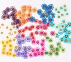 120Pcs Geperst Gedroogde Conyza Canadensis Filler Bloem Voor Epoxyhars Sieraden Maken Postkaart Frame Telefoon Case Craft Diy