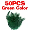 Green Color 50pcs