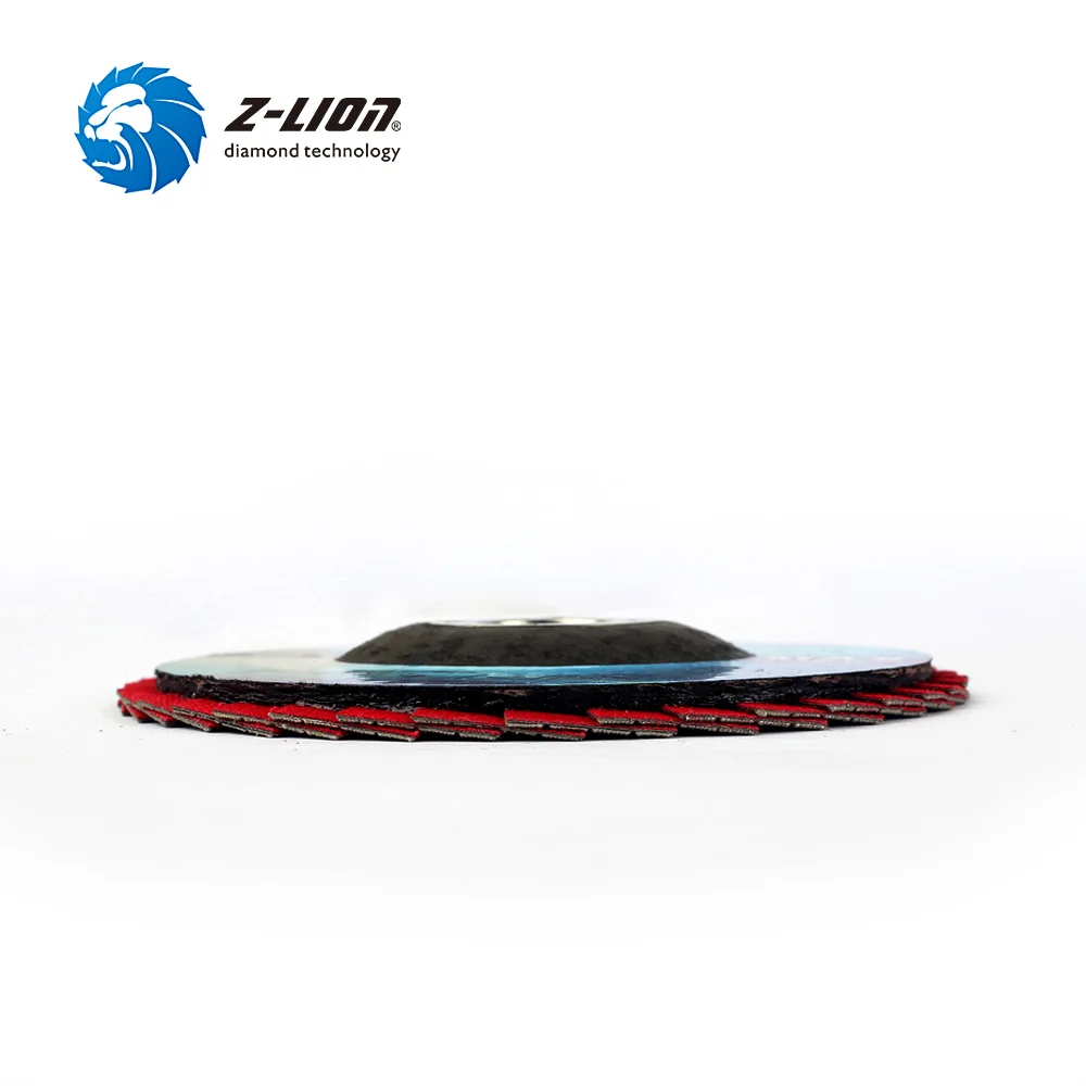 Z-LION 2pcs 4\