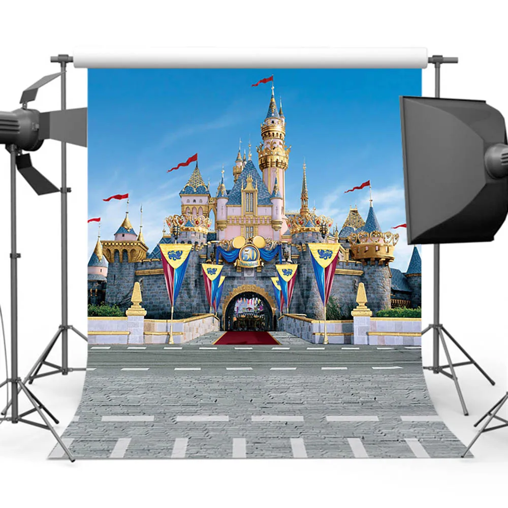 

Castle Background for Photography Prince Photo Backdrop Booth Studio Street Computer Printed S-201