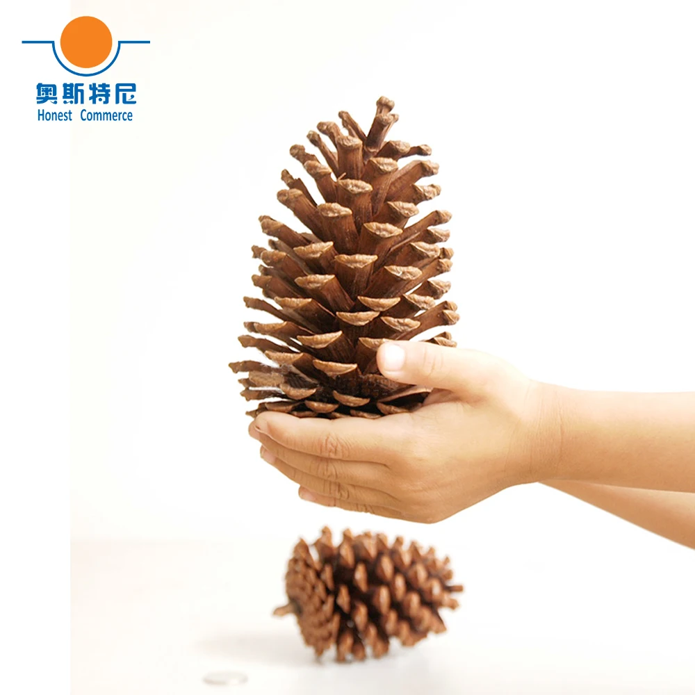 8pcs 12-14cm big size natural Christmas decoration big pine cones