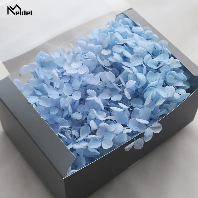 20g Preserved Hydrangea Flowers Box Natural Dried Flowers For Home Decor Artificial Flower High Quality DIY Gifts Anna Hydrangea