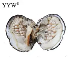 1 or 10pc Vacuum Pack Oyster Wish Freshwater Cultured Love Wish Pearl Oyster Gift Surprise 6-7mm 10Pearl Shipped Without Oysters