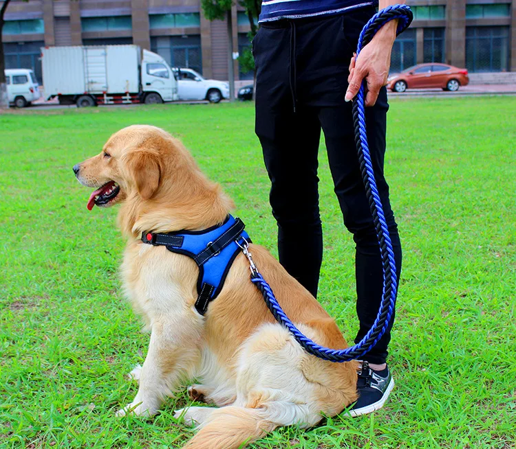 2017 High Quality Upgraded color collar Large Dog Harnesses Traction rope walk the dog P chain Pet  For Medium and large Dogs