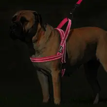 Reflective Dog Harness and Leash for All Sizes #2