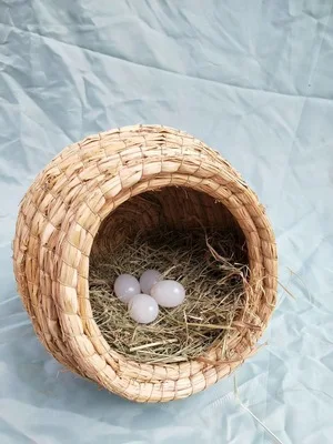 

Dove Nest Grass Nest Supplies Appliances Letter Nest Pot Pigeon Bird Nest Cornskin Rollover Preventiongrass Nest