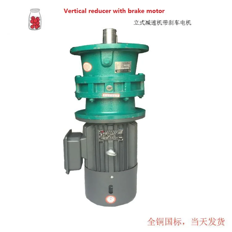 Planet Cycloidal Pinwheel Reducer with motor copper wire iron shell three-phase 380V vertical mixer Changzhou   Speed machine