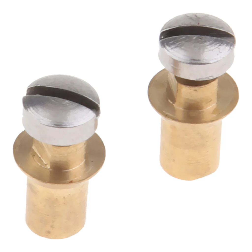 2 Pieces Alto Tenor Soprano Saxophone Screw Sax Adjustment Replacement Repair Screws 5 x 11mm