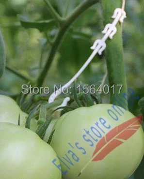 1000pcs plastic peduncle hang hooks plant fastener plant vines Tomato melon cucumber Flower Vegetable Farming hang hook Clip