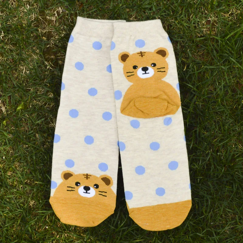 Calcetines de colores para mujer, calcetín con estampado de oso, cerdo y gato, para otoño e invierno, 6 pares