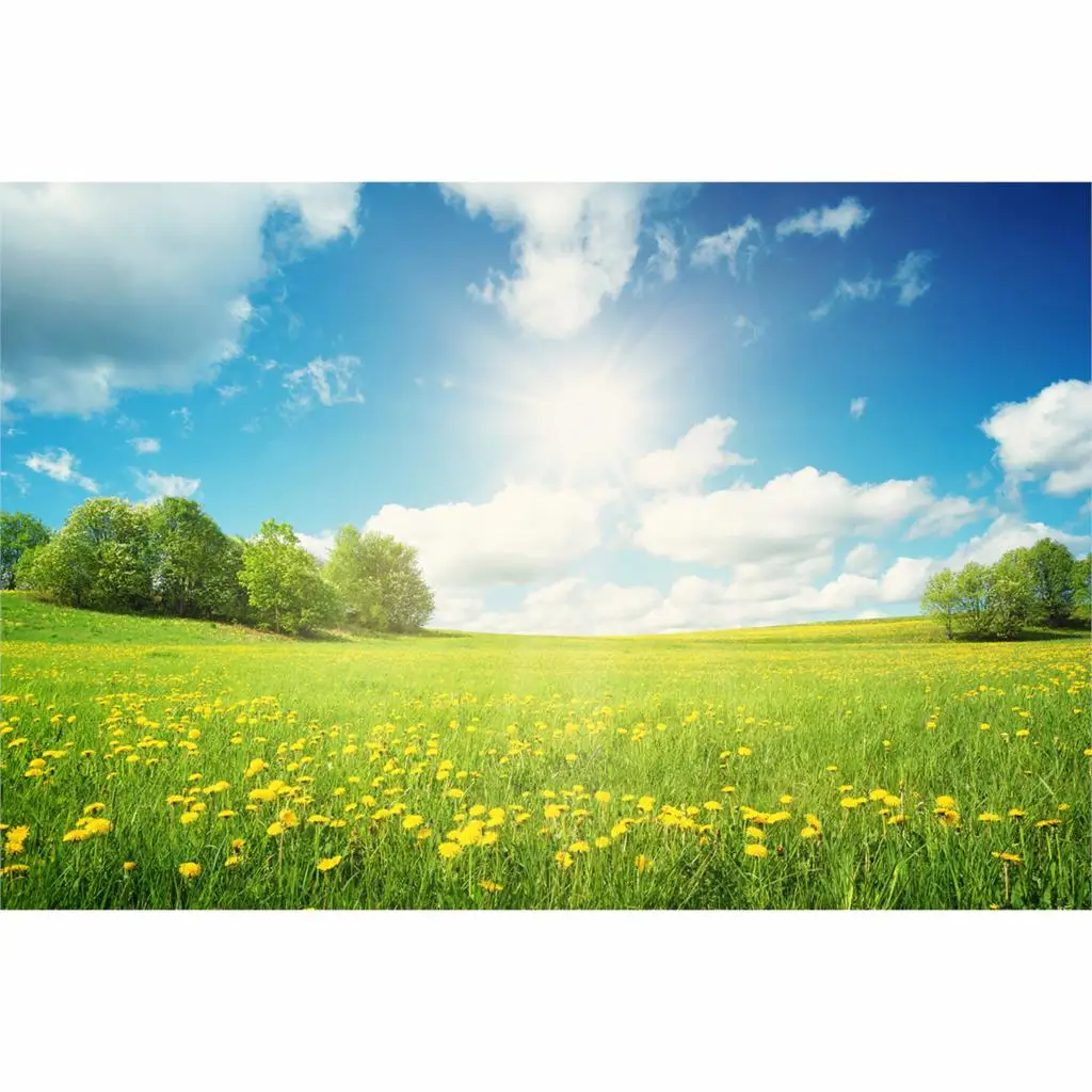 Allenjoy photographic background Field with yellow dandelions and blue sky spring warm sun new backdrop photocall photo printed