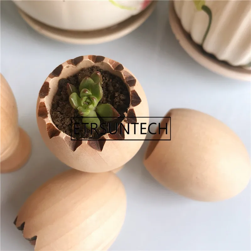 100sets Wooden Eggs Drawing Eggs Easter Eggs Gifts for Kids and Children DIY Wood Succulent Planter Home Decoration