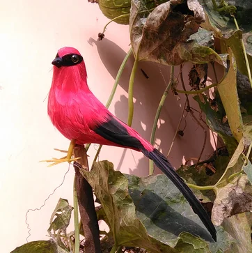 

Милая имитационная модель красной сороки, 22 см, из пенопласта и перьев, подарок