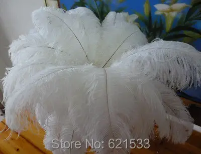 

100pcs/lot 12-14inch/30-35CM High Quality Natural White Ostrich Feathers,White Feathers Eventaille Mariage