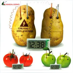 wholesale Potato Clock Electrochemical Cell Experiment material ,funny novelty home school green science educational kit