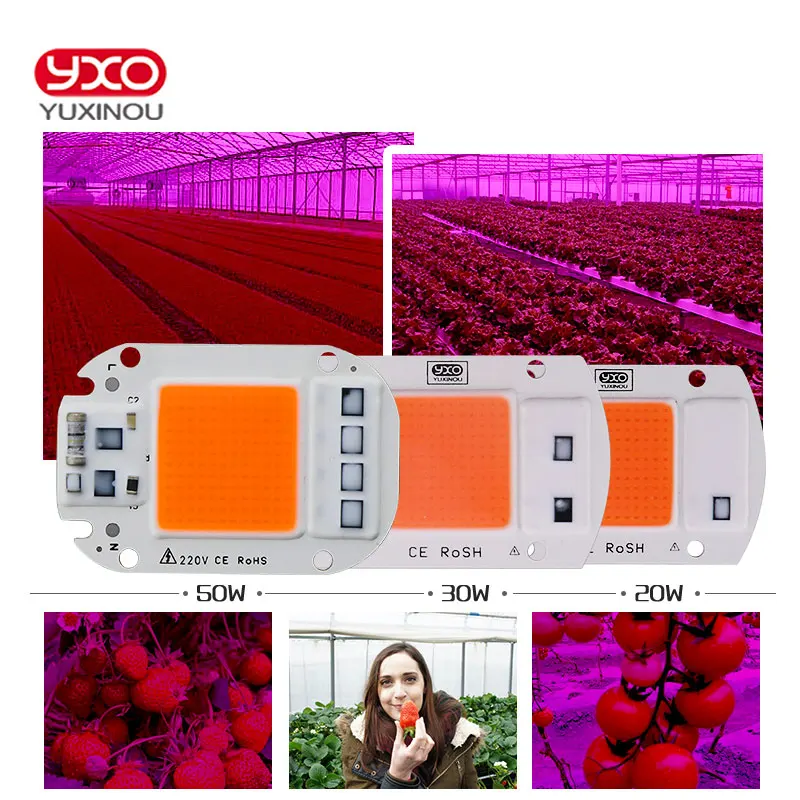 YXO YUXINOU LED COB Chip For Grow Plant Light Full Spectrum Input 220V AC 20W 30W 50W For Indoor Plant Seedling Grow and Flower