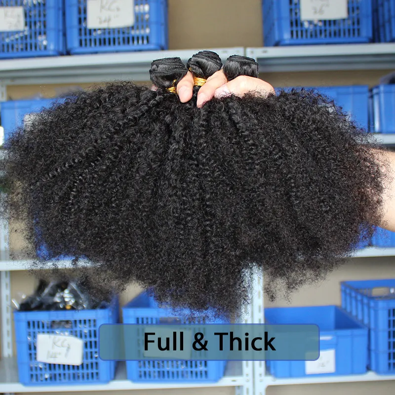 Mongolian Afro Kinky Curly Hair Weave With Closure Natural Black 4B 4C Virgin Human Hair Bundles Extension 3 Dolago Products