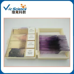 18pcs Hematology (glass blood smear prepared slides) for teaching purposes