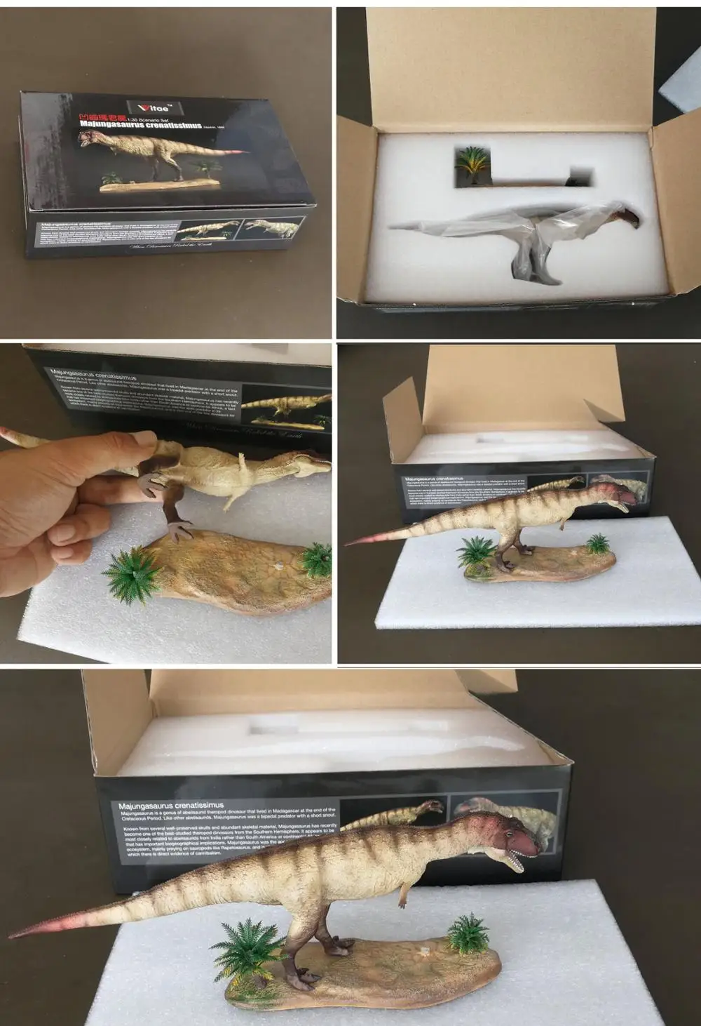 1:35 Jurassic Dinosaur world Model Scenario Set Majungasaurus Crenatissimus Deperer 1986 Carcharodontosaurus