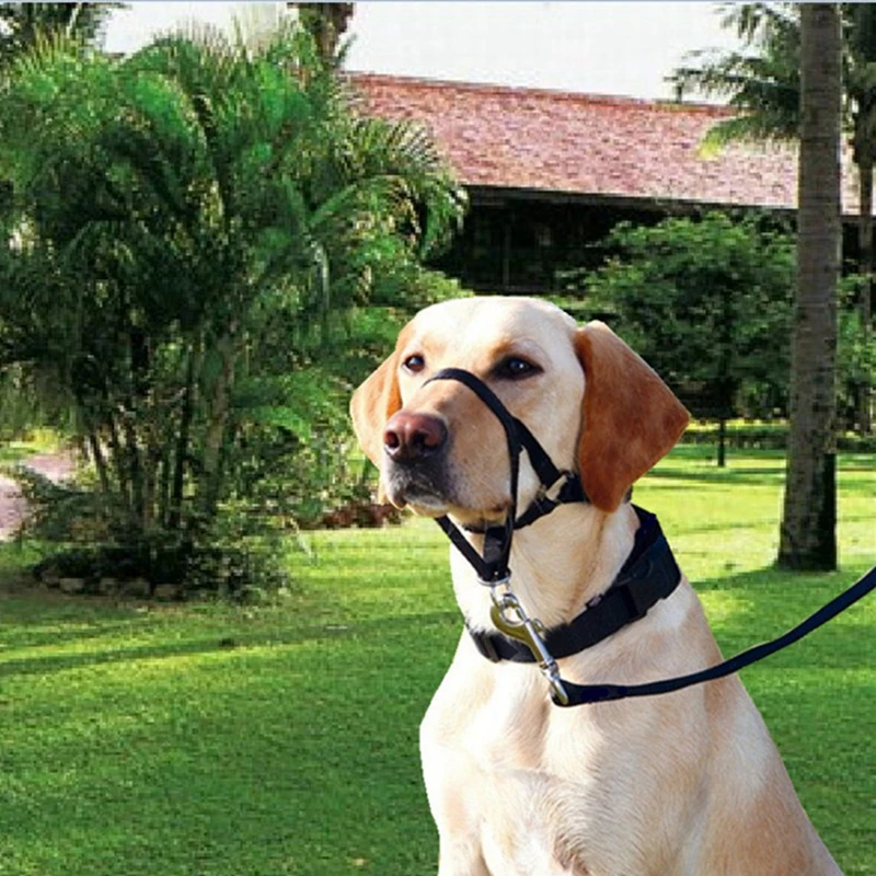 Pet Dog Padded Head Collar Dog Gentle Halter Leash Leader Stop Pulling Training Muzzles Tools