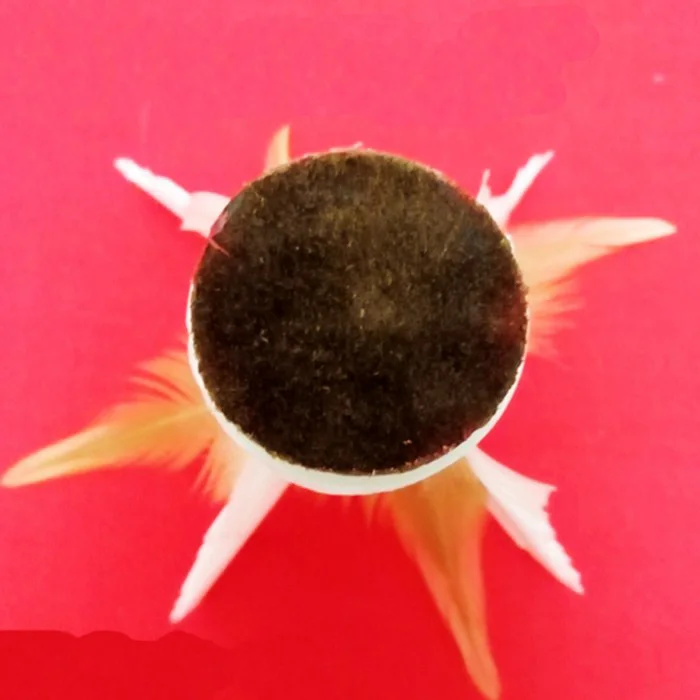 Menino presente do miúdo pontando penas petecas pé esportes brinquedo jogando jogos chinês jianzi esporte ao ar livre criança brinquedo 2021