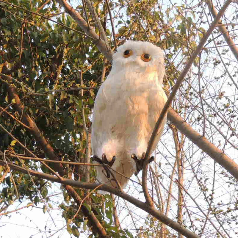 

big new creative simulation owl toy plastic&fur white owl doll about 30cm