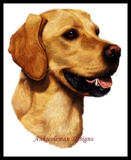 Needlework for embroidery DIY French DMC High Quality -Counted Cross Stitch Kits 14 ct Oil painting - Yellow Labrador