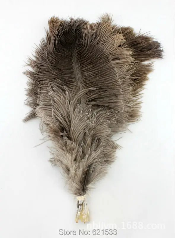 100pcs/lot! The Nature Grey-Brown colour Ostrich Feathers 6-8