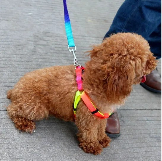 1PC Pet Dog Leash Harness Nylon Rainbow Small Puppy Kitten Lead Leash Walk Out Hand Strap Vest Collar For Cat Rabbit