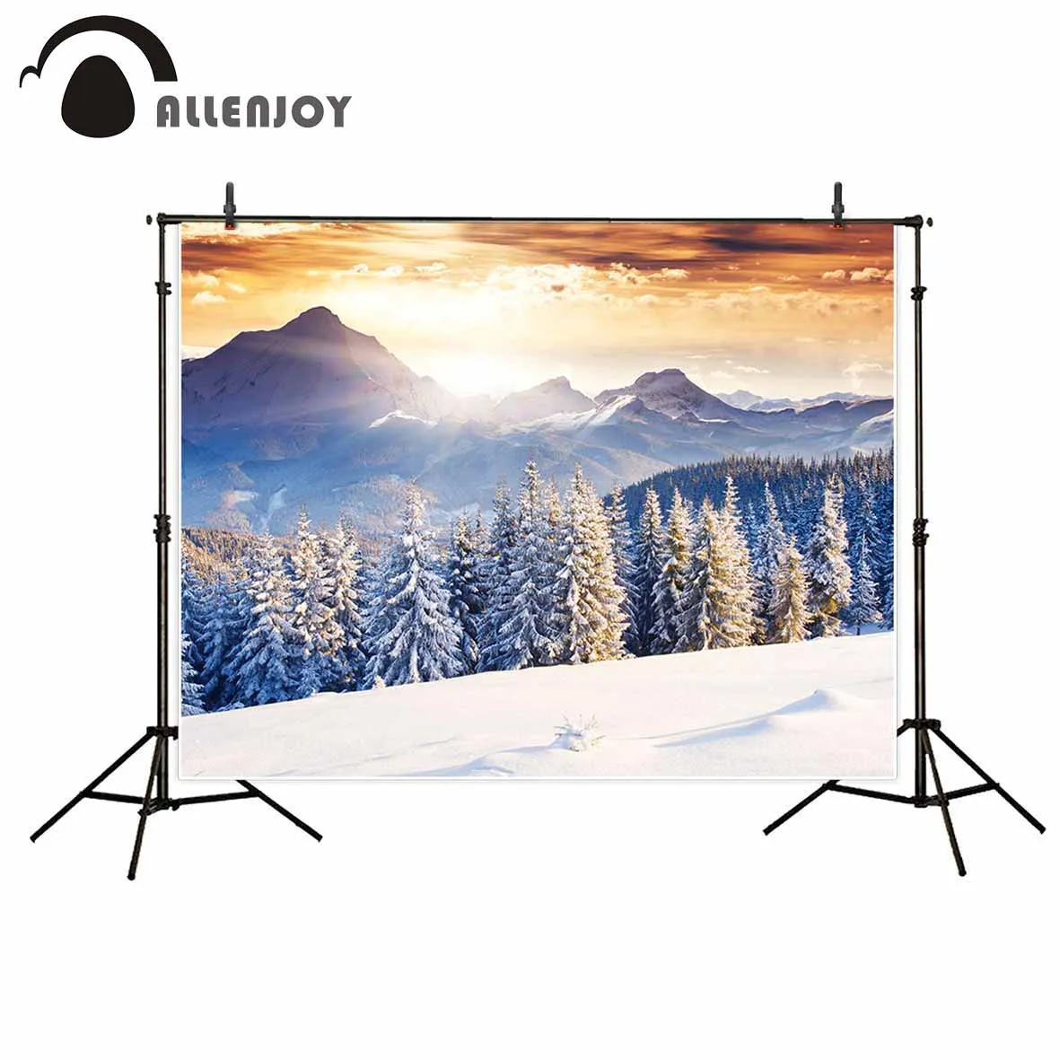 Allenjoy خلفيات للصور استوديو الغابات الثلوج مشمس الشتاء الأبيض خلفية جميلة الوليد التصميم الأصلي الخيال الدعائم