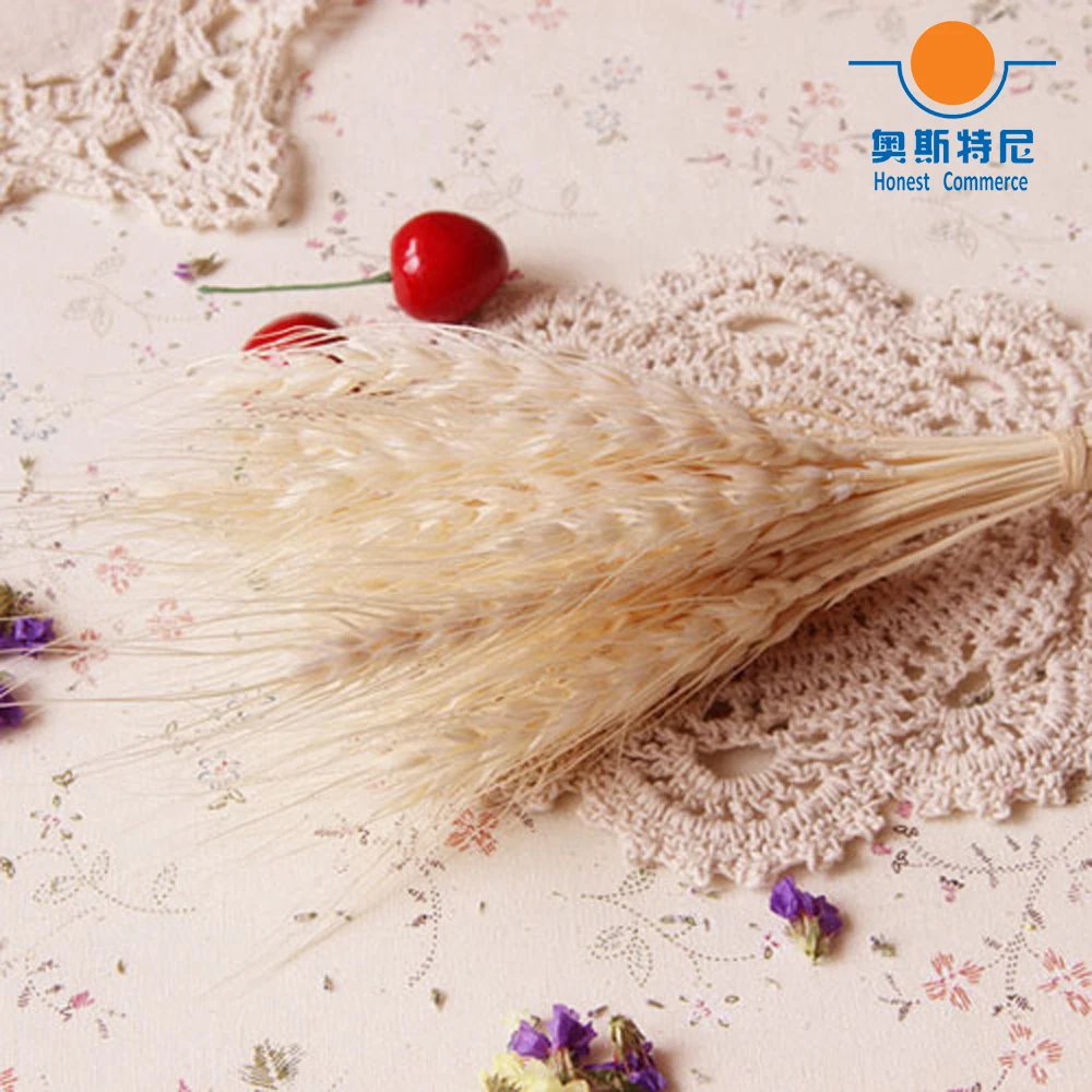 100pc natural dried flower bouquets natural orange color dried ear of wheat bouquets&wheat ear Bunches