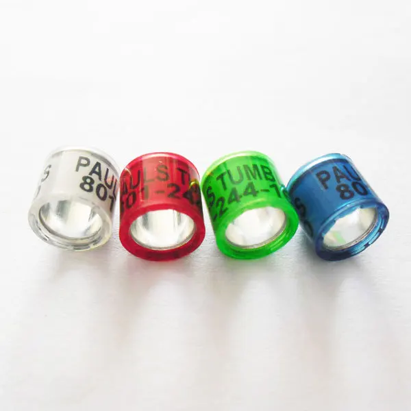 2024 2025 2026 free colors 8mm 3000pc free shipping all countries pigeon ring supplier product accessories