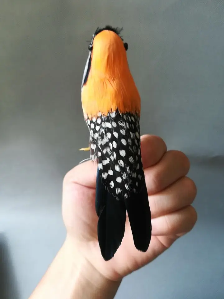 Echt leben Vogel bunte federn Zebra Finch vogel über 14cm, home garten dekoration dreharbeiten prop geschenk h1499