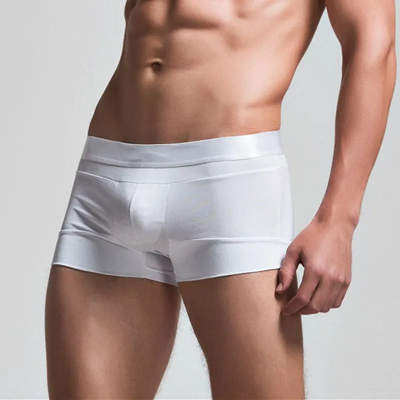 High Quality Cotton Underwear Men Boxer Shorts Fashion Low Waist U convex pouch Boxers Sexy Comfort Cueca Boxer Men Trunks