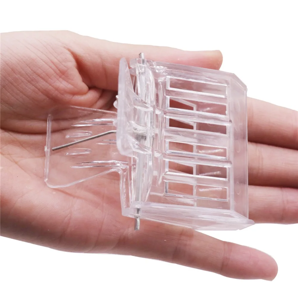 1 Pcs Transparent Queen Bee Clip Beekeeper Beekeeping Bee tools Main Variety Of Beekeeping Tools 75*52mm Not Hurt Bees