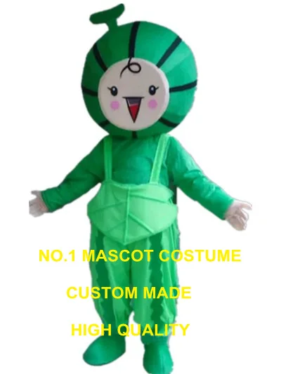 แตงโม Babe Mascot เครื่องแต่งกายผู้ใหญ่ที่กำหนดเองขนาดตัวอักษรการ์ตูน Cosplay Carnival Costume 3259