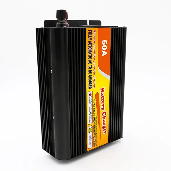 50A DC12V charge current AC charger factory offer AC110V or AC 220V