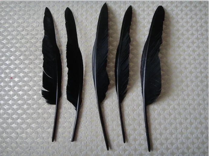 Wholesale100pcs goose feather humpback 30-35cm/12-14inch /black