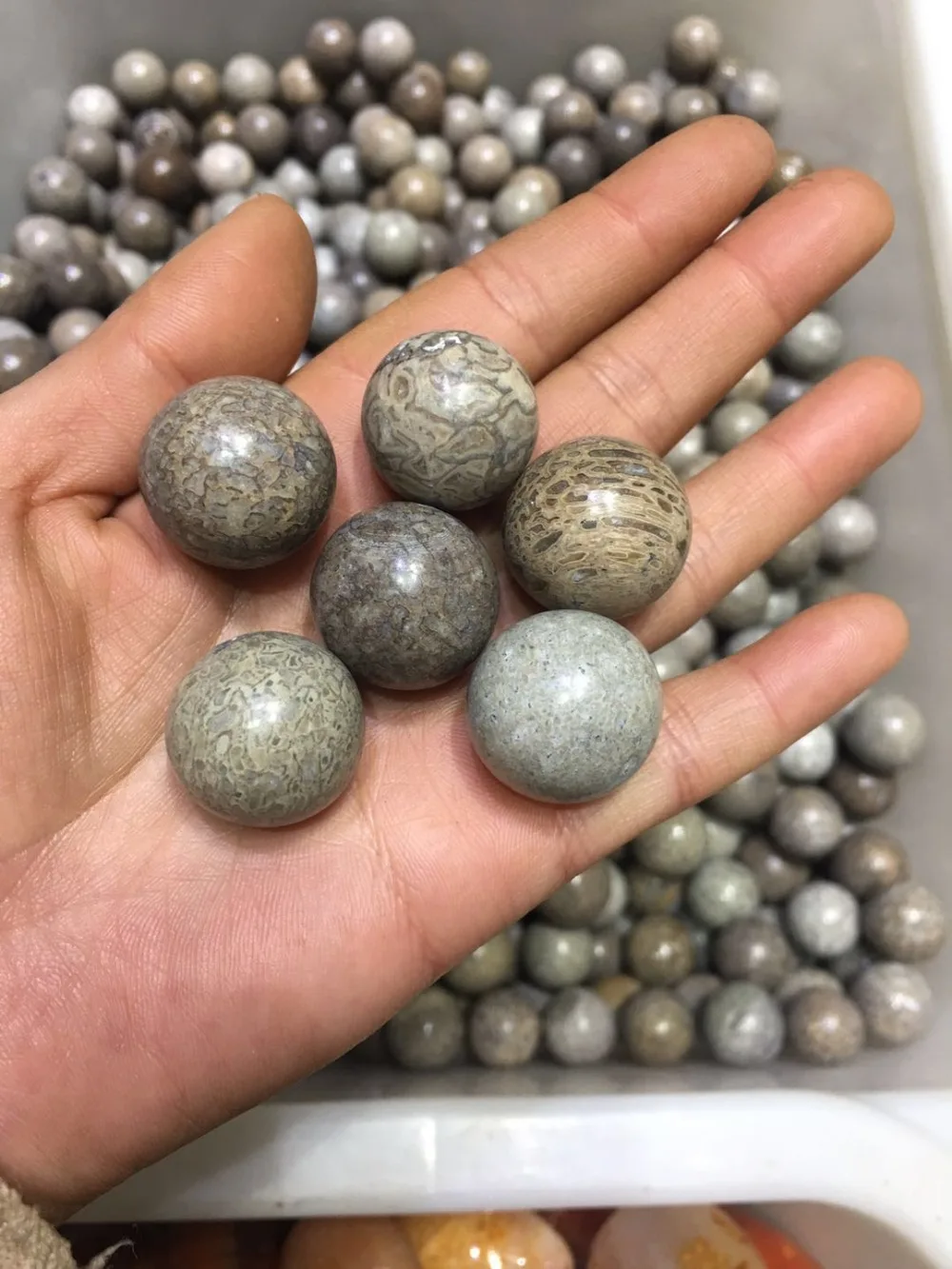 5pcs  natural dinosaur bone fossil sphere mineral specimen gemstone dragon fossil bone ball dinosaur stone madagascar healing