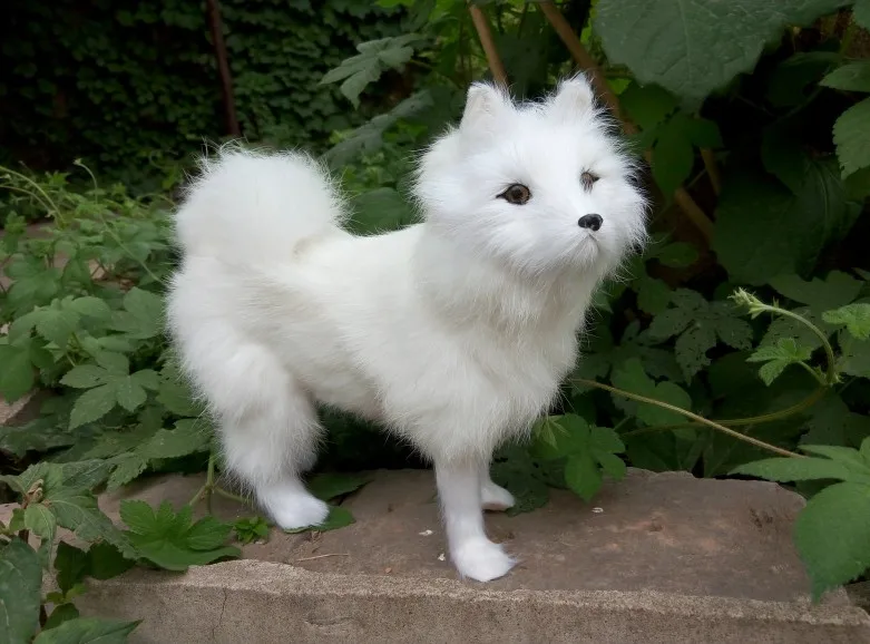 about 24x8x20cm simulation white samoyed dog toy lifelike dog model home decoration gift t137