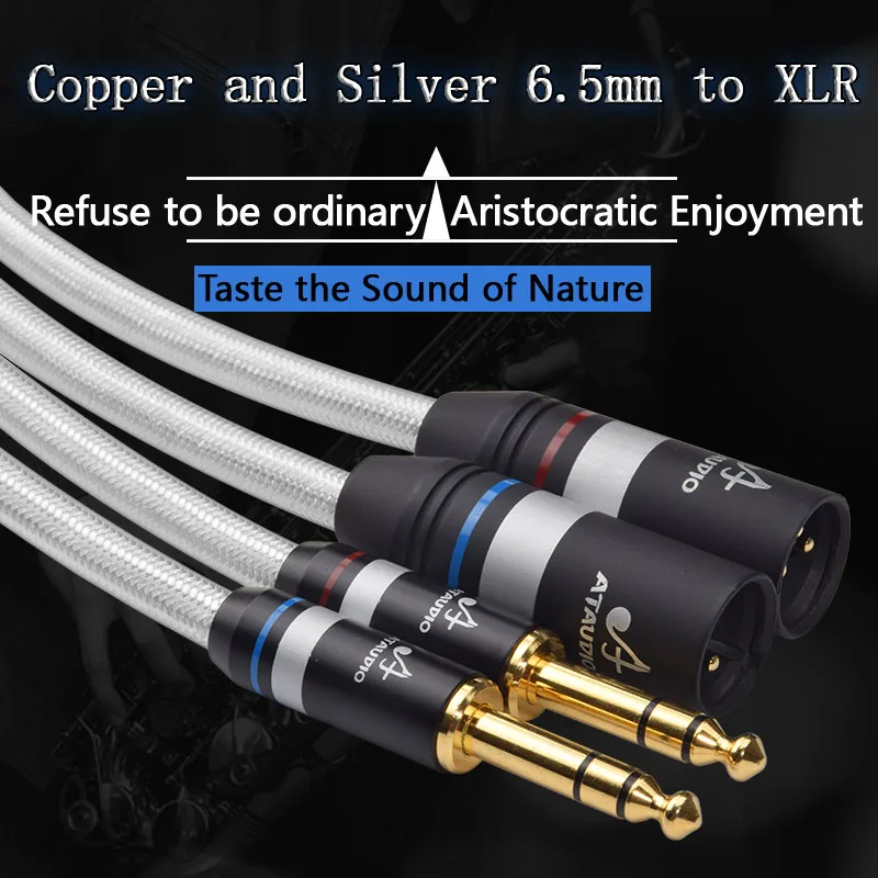 ATAUDIO miedzi i srebra Hifi 6.5mm do kabel xlr Hi-end podwójny 6.35mm do Dual xlr męski kabel Audio