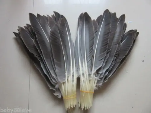 

New!Hot!100Pcs/lot! 25-30 cm / 10-12inch long Natural TURKEY FEATHERS,Loose Quality Turkey Wing Feathers freeshipping