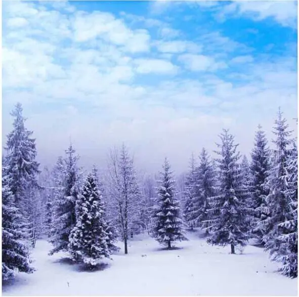 

10x10FT Winter Clouds Blue Sky Snowy Forest Trees Field Ice Custom Photo Backdrop Studio Background Vinyl 300cm x 300cm