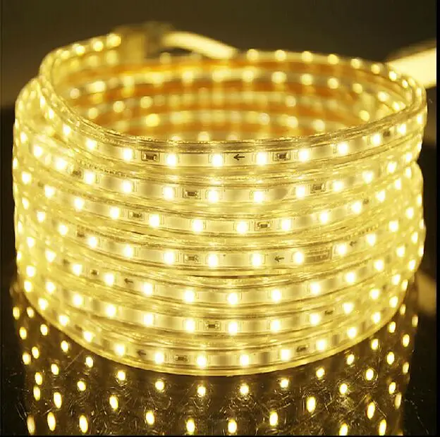 Super Brightness 3chip/led 220V Fexible 5050 110V rgb led strip with controller 100M/Roll