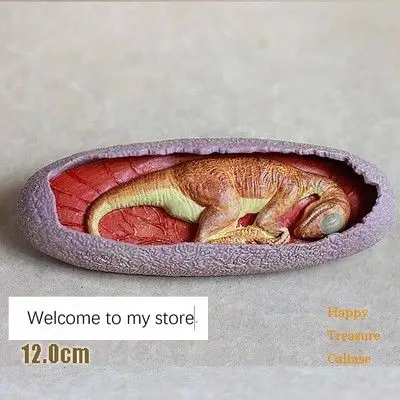 Simulation animal model dinosaur dragon egg fossil home decor